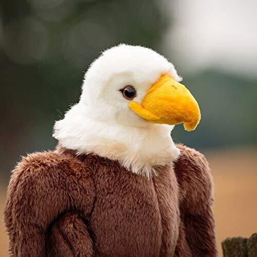 Peluche Aigle blanc et marron variant 3 