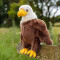 Peluche Aigle blanc et marron - miniature variant 3