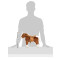 Peluche Cheval marron - miniature variant 9
