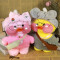 Peluche Canard blanc 30 cm - miniature variant 7