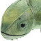 Peluche Caméléon coe illustré 38x24 cm - miniature variant 7