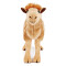 Peluche Chameau camel bactrian 25 cm - miniature variant 1