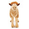 Peluche Chameau camel bactrian 25 cm - miniature variant 3