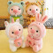 Peluche Cochon grenouille 25 cm - miniature variant 2
