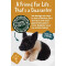 Peluche Cochon 17 cm - miniature variant 5