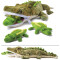 Peluche Crocodile vert 60 cm - miniature