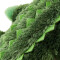 Peluche Crocodile vert 20 cm - miniature variant 3