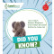 Peluche Éléphant multicolore 25 cm - miniature variant 1