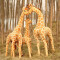 Peluche Girafe 80 cm - miniature variant 4