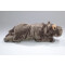 Peluche Hippopotame np - gris 42 cm - miniature variant 4