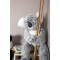 Peluche Koala koda le  80 cm - miniature variant 4