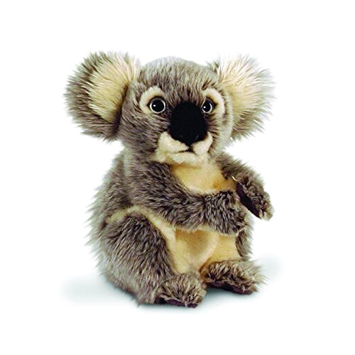 Peluche Koala 20 cm