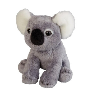 Peluche Koala