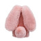 Peluche Lapin rose 10 cm - miniature variant 1