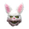 Peluche Lapin - miniature