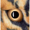 Peluche Léopard marron 110 cm - miniature variant 4