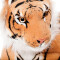 Peluche Léopard marron 75 cm - miniature variant 3