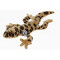 Peluche Léopard marron 27 cm - miniature