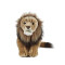 Peluche Lion 45 cm - miniature variant 1