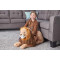 Peluche Lion 76 cm - miniature variant 4