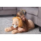 Peluche Lion 76 cm - miniature variant 6