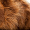 Peluche Lion marron 110 cm - miniature variant 1