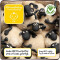 Peluche Mouton noir/blanc 35 cm - miniature variant 3