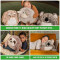 Peluche Mouton 35x35 cm - miniature variant 2