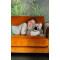 Peluche Mouton 35x35 cm - miniature variant 5