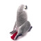 Peluche Perroquet - Oiseau - 19 cm - miniature variant 2