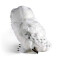 Peluche Oiseau noir 30 cm - miniature variant 6