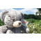 Peluche Ours marron clair 24 cm - miniature variant 2