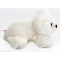 Peluche Ours polaire pour bébé 18 cm - miniature variant 4