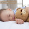 Peluche Ours beige 20 cm - miniature variant 3