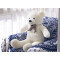 Peluche Ours blanc 120 cm - miniature variant 4