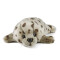 Peluche Phoque 20 cm - miniature