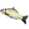 Peluche Poisson a- 20 cm - miniature variant 4