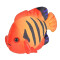 Peluche Poisson multicolore 20 cm - miniature