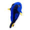 Peluche Poisson bleu 18 cm - miniature variant 2