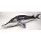 Peluche Poisson 125 cm - miniature