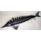 Peluche Poisson 125 cm - miniature variant 1