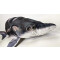 Peluche Poisson 125 cm - miniature variant 4