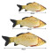 Peluche Poisson or - miniature variant 2
