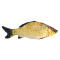 Peluche Poisson or - miniature variant 5