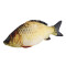 Peluche Poisson or - miniature variant 6
