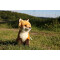 Peluche Renard marron blanc 27 cm - miniature variant 4