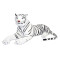 Peluche Tigre blanc - miniature