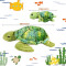 Peluche Tortue 30 cm - miniature variant 1