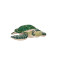 Peluche Tortue vert 20 cm - miniature variant 4