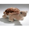 Peluche Tortue marron - 21 cm - miniature variant 2